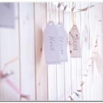 Wedding Photography Portfolio Wedding North Devon 0066 150x150 Wedding Photography Portfolio